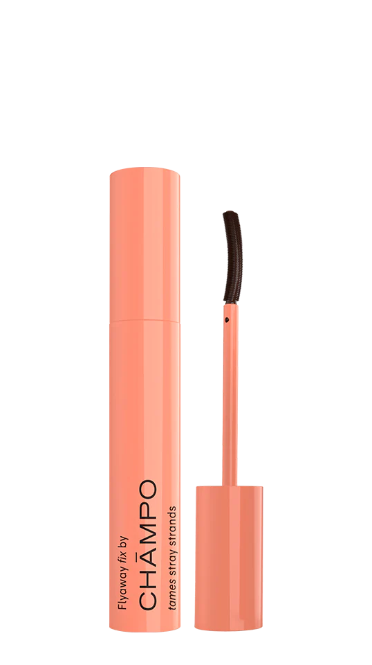 Flyaway fix gift