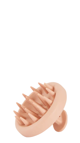 Shampoo brush gift